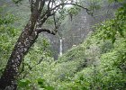 DSCF0210