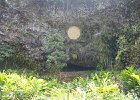 IMG 6016