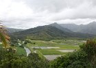 IMG 6352