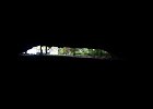 IMG 6377