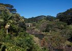 IMG 0755