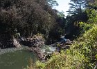 IMG 0777