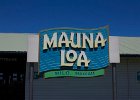 IMG 0891