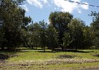 IMG 0893
