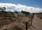 IMG 1274