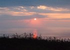IMG 1463