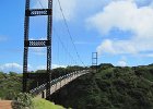 IMG 6962