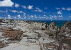 IMG 7252