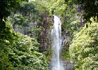 IMG 7803
