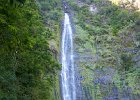 IMG 7986