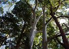 IMG 9858