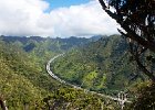 IMG 9913