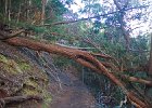 IMG 9937