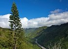 IMG 9960