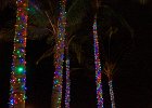 IMG 6583