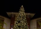 IMG 6621