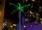 IMG 6719