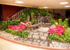 IMG 6729