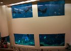 IMG 6734