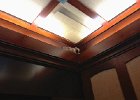 IMG 1102