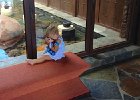 IMG 1155