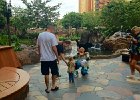 IMG 1264