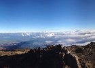 IMG 0890