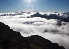 IMG 3603