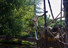 IMG 9721