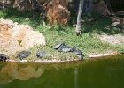 IMG 9729
