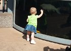 IMG 9764