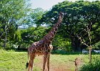IMG 9795