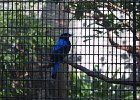 IMG 9823