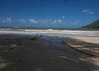 IMG 0520
