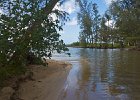 IMG 0582