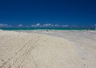 IMG 2684