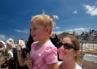 IMG 5529