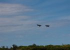 IMG 5914