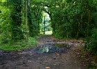 IMG 0446