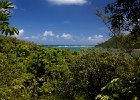 IMG 0471