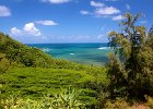 IMG 0484