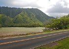 IMG 0506