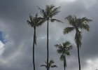 IMG 0600