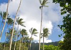 IMG 0602