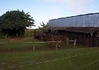 IMG 4791