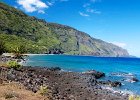 IMG 4921