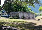 IMG 4929