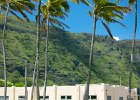 IMG 4938