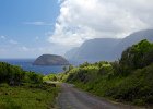 IMG 4981