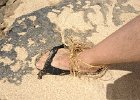 IMG 0500